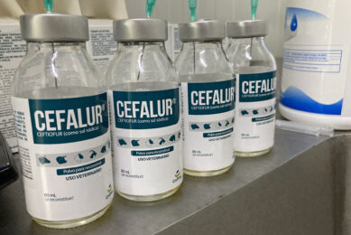 Antibiotic use drops sharply in Canada’s chicken sector