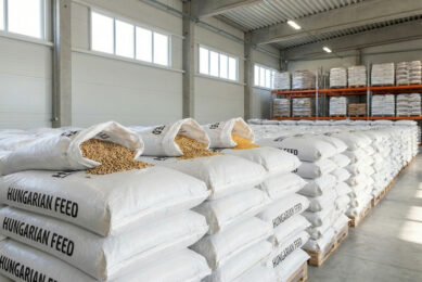 In 2024, Hungary saw a 23% rise in feed exports. Image created with the help of AI (Reve.art)