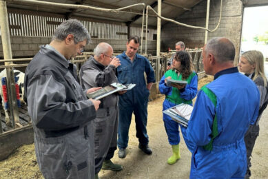Biosecurity assessment in practice. Pictured is a visit to William Nillesen’s dairy farm in the Netherlands – an excellent example of strong calf-level biosecurity, with a continuous focus on improvement. Photo: Huvepharma