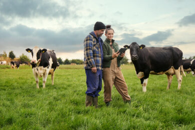 Stronger, well-developing calves are more likely to progress successfully into the herd. Photo: Trouw Nutrition