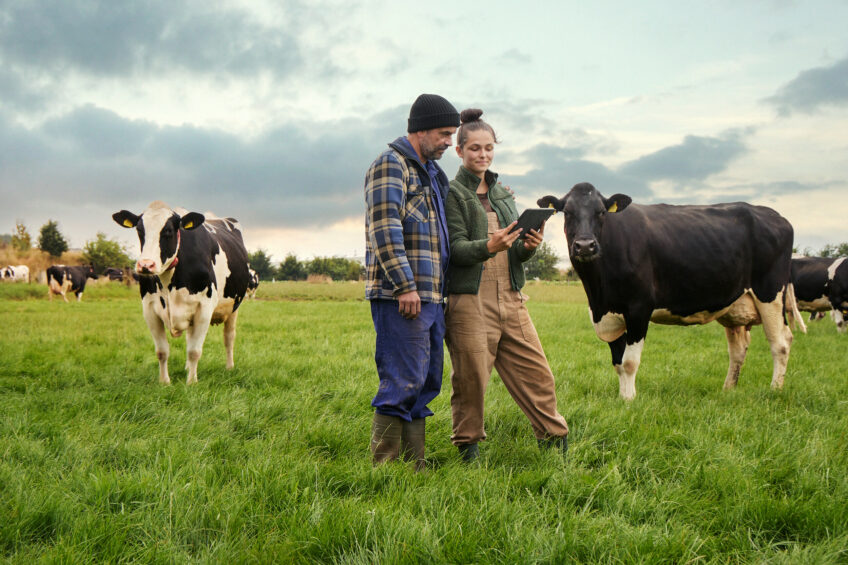 Stronger, well-developing calves are more likely to progress successfully into the herd. Photo: Trouw Nutrition