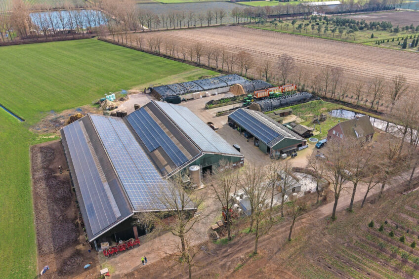 Pieter and Laura Verhagen's farm has a compact layout; all the livestock is housed under one roof. Since the start of the contracting business and substantial growth in mechanisation, some of the machinery is now located outdoors – likely temporarily. The youngest calves are kept outdoors in front of the cubicle barn, confined in igloos and group pens. Photos: Bert Jansen
